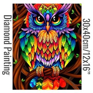 Rainbow Owl DIY 5D Full Round Drill Diamond Painting